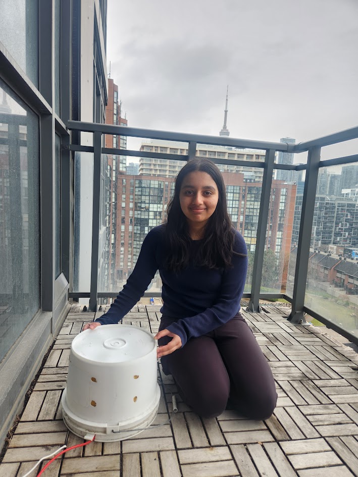 Deployed on Toronto balcony with CN Tower
